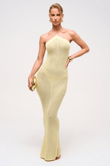 Remy Knit Maxi Dress in Primrose